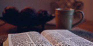 Reading In The Morning?